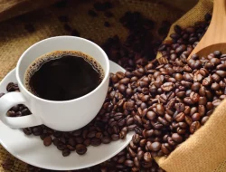 Lonjakan Harga Kopi Global Terbesar Dalam 47 Tahun Terakhir
