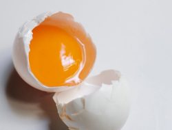 Strategi Meningkatkan Kualitas Telur Ayam Dengan Memanfaatkan Mineral