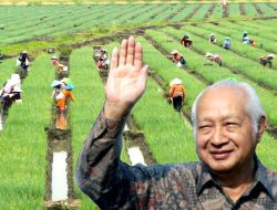 Perbandingan Kondisi Petani: Masa Orde Baru vs. Saat Ini