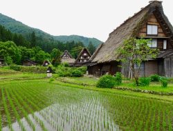 Jepang Tawarkan Insentif untuk Tinggal di Pedesaan