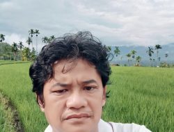 Kementerian Pertanian Kenalkan Metode Tanam Culik untuk Percepatan Tanam Padi