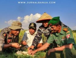 Kolaborasi TNI-Polri dan Kementan untuk Mencapai Swasembada Pangan