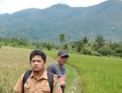 Dorong Percepatan Tanam dan Pelaporan LTT, Kementan Bersinergi dengan Dinas Pertanian Aceh