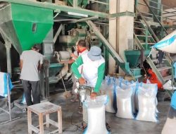 Kenaikan HPP Gabah: 40% Penggilingan Padi Tutup, Dunia Perberasan Nasional Tertekan