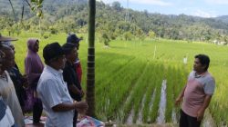 Prioritaskan Petani Gurem, Mentan Perintahkan PPL Bertindak Cepat