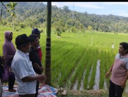 Prioritaskan Petani Gurem, Mentan Perintahkan PPL Bertindak Cepat