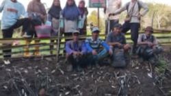 Jadi Petani Milenial, Anak Muda Bisa Berpenghasilan Tinggi