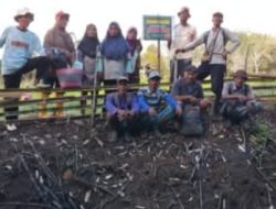 Jadi Petani Milenial, Anak Muda Bisa Berpenghasilan Tinggi