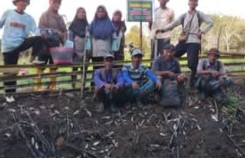 Jadi Petani Milenial, Anak Muda Bisa Berpenghasilan Tinggi